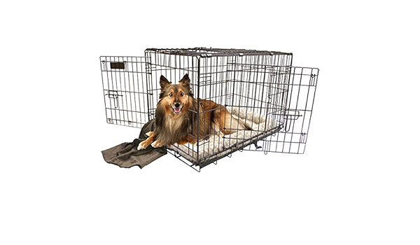 precision dog crate 5000
