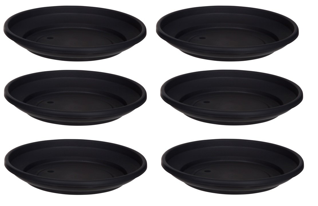 6 x Black Plastic Plant Pot Saucer 20cm Saucer Amazon.co.uk Garden