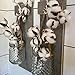 GTIDEA 3 Pack Cotton Stems 30 Balls Cotton Flowers Plant Natural Dried Floral Arrangement for Farmhouse Home Table Vase Filler Party DIY Wreath Decor (22 Inch)