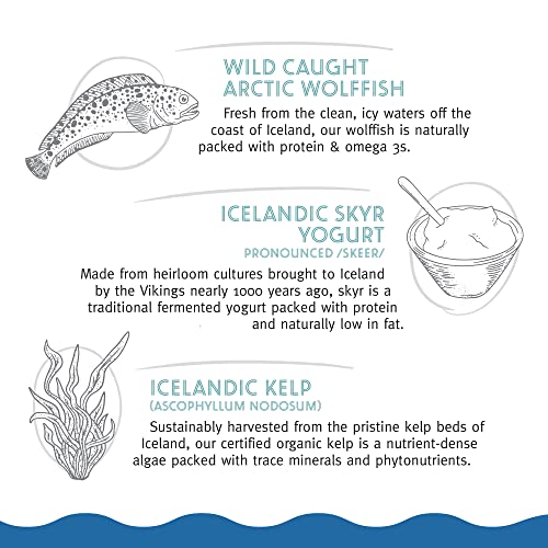 ICELANDIC+ CHEWY JERKY BARS WOLFFISH, SKYR, & KELP DOG TREAT 2.5-OZ BAG