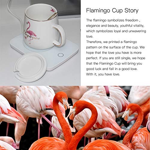 6 Warmer+Beverage+Warmer+%25EF%25BC%258DHeater+Surface
