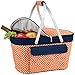 Picnic at Ascot Patented Insulated Folding Picnic Basket Cooler- Designed & Quality Approved in the USA
