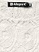 Women's Floral Lace Sleeveless Semi Sheer Yoke Flare Mini Dress White / S
