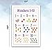 Learning Ladder Set of 10 Toddler Learning Posters (13