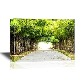 Forest Walkway Flanked on Both Sides with a Bamboo Forest