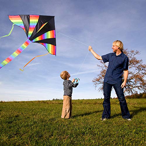 XYH Kite, Colorful Delta Kite -Large Flyer Kite for Kids -60 inches Wide with Long Tail 79 Inches Long for Children Family Outdoors.