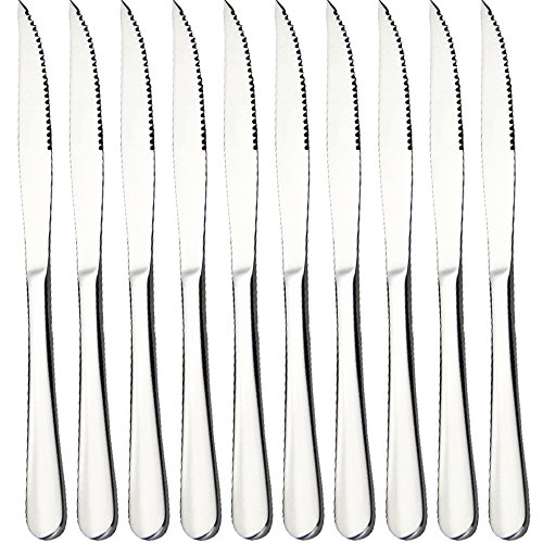 Zicome 10-piece 9-1/2 Inch Stainless Steel Prime Steak Knife Set