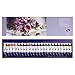 Paul Rubens Watercolor Tubes, 12ml Tubes 24 Colors Artist Grade Watercolor Paints Set, Flower Color Matching, Perfect for Hobbyist and Artist