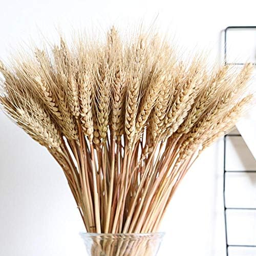 Greatown Decorative Grass Bouquet,for Wedding Jewelry, Props, as a Bouquet, Artificial Flowers and for Home or Party Decorations