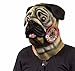 Accoutrements Pug Mask