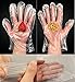 Rayhee 500 Pcs Plastic Disposable Gloves - Food Prep Gloves, Transparent, One Size Fits Most