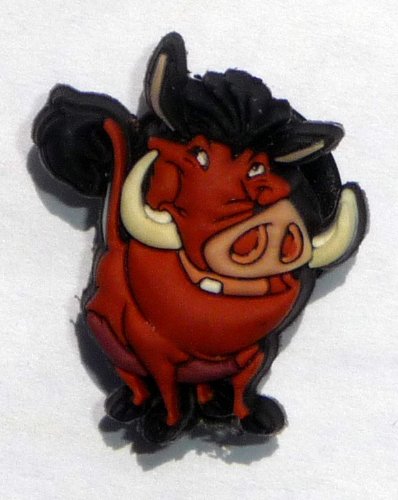 lion king croc jibbitz