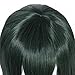 ROLECOS Tsuyu Asui Wig Froppy Cosplay Long Straight Anime Party Wig Green ML313