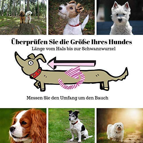 Hundekühler WesteHochwertiger Neoprenanzug StoffSommer kühlmantel