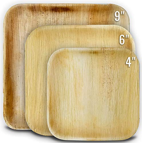 VIRIDIS Palm Leaf Plates Biodegradable and Compostable Eco Friendly Bamboo Style (20, 9 Inch)