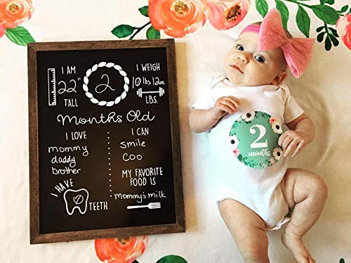 Olive Emma Baby Monthly Milestone Chalkboard 12 X 16 Wood Framed Reusable Monthly Baby Milestone Board Baby Calendar First Year Pregnancy Gifts For First Time Moms Pricepulse Olive Emma Baby Monthly Milestone Chalkboard 12 X 16 Wood Framed Reusable Monthly Baby Milestone Board Baby Calendar First Year Pregnancy Gifts For First Time Moms Pricepulse