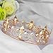 Frcolor Men's Crown, Crystal Full Round King Crown for Prom Party Hats Costume Accessories
