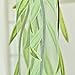 Malcm Willow Tulle Tulle Door Curtain Drapes Curtains Tulle Scarf Valance 2Pieces(Green)
