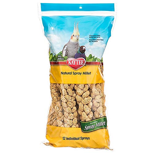 kaytee spray millet