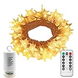 echosari Battery Operated Warm White Christmas Star LED String Lights w/Timer & Remote 100 LED Fairy String Lights for Outdoor Garden, Wedding Decoration