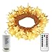 echosari Battery Operated Warm White Christmas Star LED String Lights w/Timer & Remote 100 LED Fairy String Lights for Outdoor Garden, Wedding Decoration