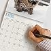 unp 2020 Cats Wall Calendar by Bright Day, 16 Month 12 x 12 Inch, Cute Kitten Animals Feline