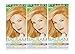 CLAIROL Balsam Permanent Color - 604 Dark Blonde 1 ea (Pack of 3)