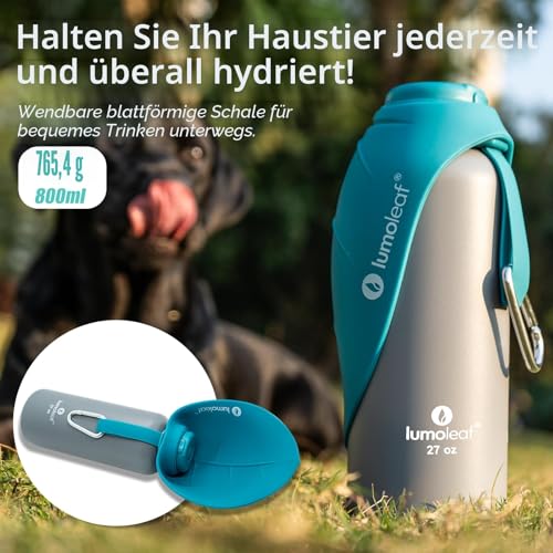 LumoLeaf Insulated Stainless Steel Water Bottle for Dogs 800ml - Keeps Water Cool or Warm for Hours Durable & Portable for Travel, Wide Mouth for Easy Filling & Cleaning (Bleu, 800ml)