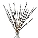 Babali Lighted Twig Branches 20 Inches 100 Led Battery and Electric / Corded Dual Power Brown Wrapped Artificial Willow Warm White Lighting Branch Lights Crafts with Timer