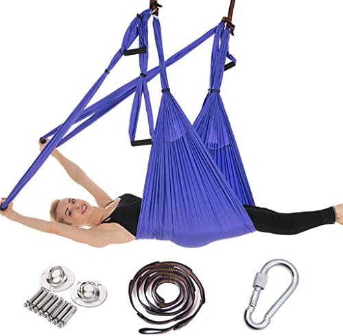 Asports Aerial Yoga Swing, Trapeze Yoga Kit for Anti Gravity Fitness, Yoga Hammock Sling for Inversion Exercises with Extensions Straps Carabiners and Carrying Bag