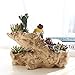 NCYP Artificial Driftwood Planter Resin Flower Pot Sculpture Succulent Air Plants Rustic Declined Y Shape Trunk Stump for Decoration No Plants