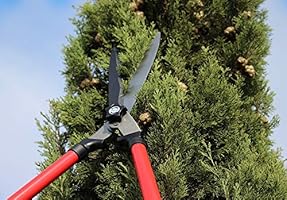 best telescopic hedge shears