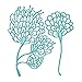 Spellbinders Jane Davenport Artomology Dies-Sea Flower