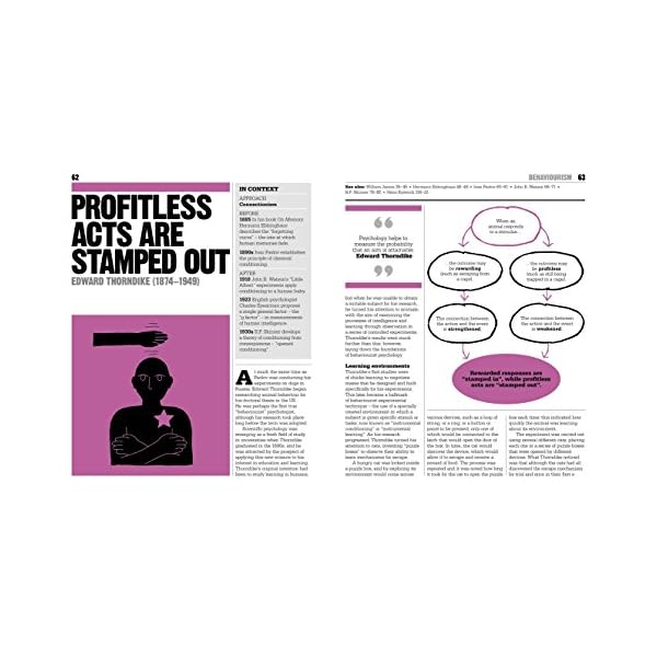 The Psychology Book: Big Ideas Simply Explained - Image 4