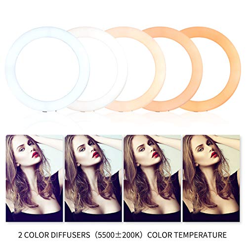 2 MOUNTDOG+Ringlight+Dimmable+Continuous+Temperature