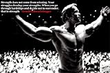 Arnold Schwarzenegge Body Building Nice Silk Fabric Cloth Wall Poster Print (36x24inch)