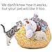 Stuffed Animal Storage Bean Bag - Toy Storage Bag EXTRA LARGE Size 38-inch - Soft Cotton Canvas Plush Toy Organizer - BeanBag Chair for Kids - Great for Covers Plush Toys Towels Clothes