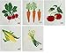 Wet-It Onions, Carrots, Corn, Radish & Tomatos Vegetables Swedish Dishcloth Set of 5