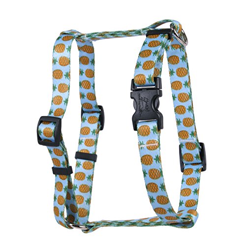 Yellow Dog Design Pineapples Blue Roman Style "H" Dog Harness, Large-1" Wide and fits Chest of 20 to 28"