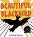 Beautiful Blackbird (Coretta Scott King Award - Illustrator Winner Title(s))