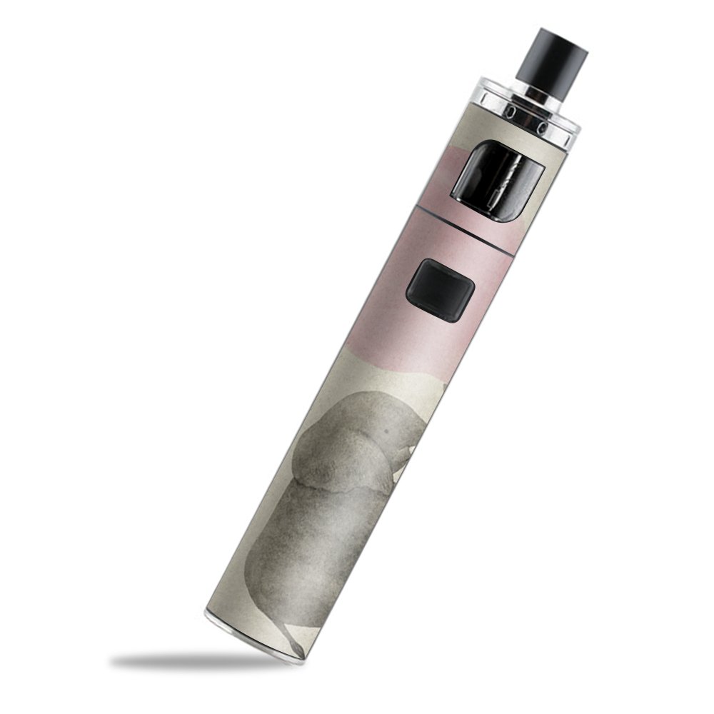 Amazon Com Skin Decal Vinyl Wrap For Aspire Pockex Aio Kit Vape