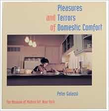 Pleasures and terrors of domestic comfort essay picture