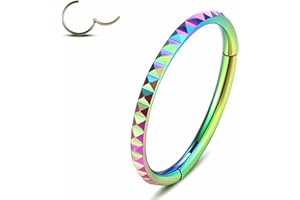 Yrogcu 20G 18G 16G 14G Single/Double Hoop Stainless-Steel Seamless-Hinged-Piercing Segment-Clicker Nose-Ring-Hoop : Diameter 6mm 8mm 10mm 12mm Cartilage Earrings