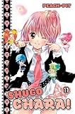 Shugo Chara 11