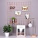 Simmer Stone Rose Gold Wall Grid Panel for Photo Hanging Display & Wall Decoration Organizer, Multi-functional Wall Storage Display Grid, 5 Clips & 4 Nails Offered, Set of 1, Size 23.6
