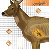 Champion Traps and Targets, Deer Target 25x25 (6 Pack)