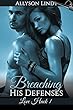 Breaching His Defenses (Love Hack Book 1)