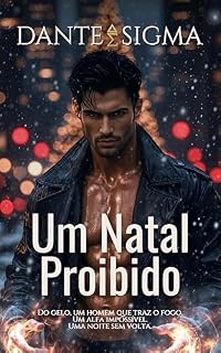 Livro Um Natal Proibido