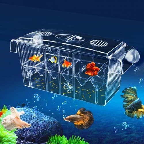 Fish Breeding Box Large capacity Solation Hatchery Box Plastic Fish Hatchery Isolation Floating Box Transparen Baby Fish Protection Hatchery Aquarium Incubator with Suction Cups, 27 x 11.5cm