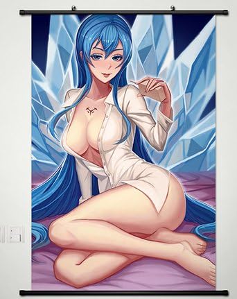 Wall Scroll Poster Fabric Painting For Anime Akame ga KILL Esdeath 022 L